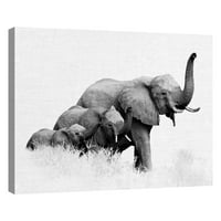 Umjetnička galerija remek -djela Tri slona Belle Maison Canvas Art Print 22 28
