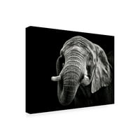Christian Meermann 'Afrički slon' platno umjetnost