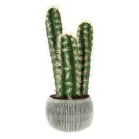 Villacera biljka umjetnog kaktusa u loncu sive gline