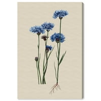 Wynwood Studio platno cvijeće ilustracija cvjetne i botaničke cvjetove zidne umjetničke platnene plavo plavo 16x24