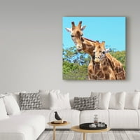 Likovna umjetnost s potpisom mlada žirafa na platnu iz MIB-a