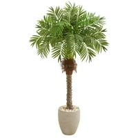 Gotovo prirodno 63 Robellini Palm Umjetno stablo u plantaži pješčenjaka, zeleno