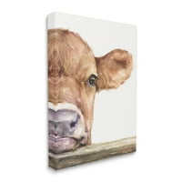 Stupell Industries Baby Calf krava odmara se glavom izbliza ruralno slikarstvo galerija zamotana platna za tisak
