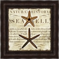 Zvijezde prirodne povijesti 16.75 16.75 zidna umjetnost
